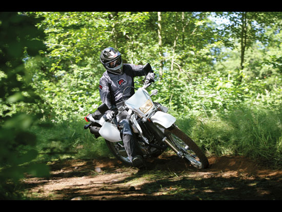 2010 Suzuki DR-Z400S